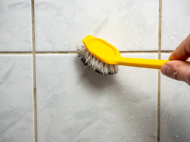 Best Emergency Mold Removal  in Greenbrier, AR
