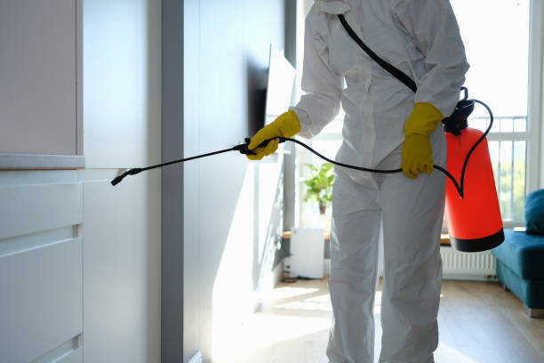 Mold Removal Process in Greenbrier, AR