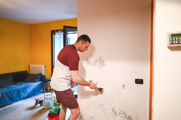 Best Professional Mold Removal  in Greenbrier, AR