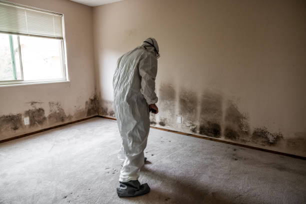 Best Crawl Space Mold Removal  in Greenbrier, AR